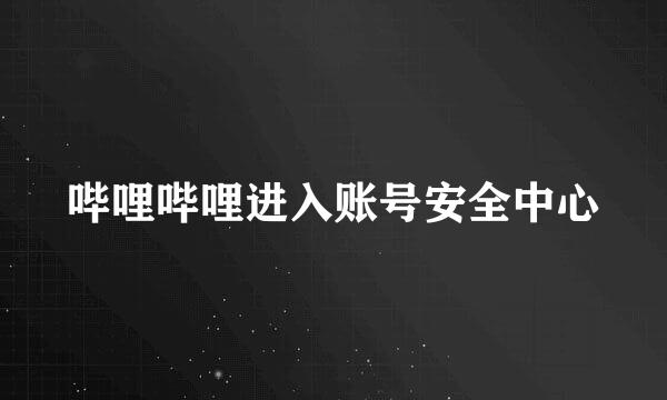 哔哩哔哩进入账号安全中心