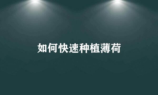 如何快速种植薄荷