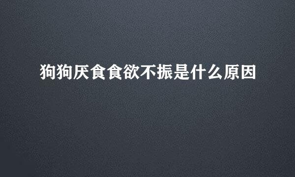 狗狗厌食食欲不振是什么原因
