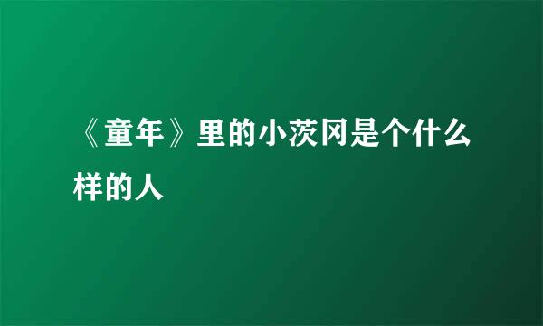 《童年》里的小茨冈是个什么样的人