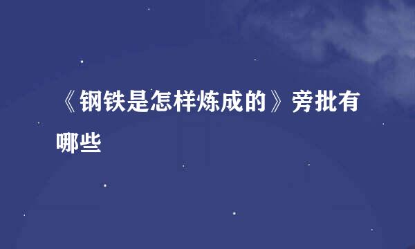 《钢铁是怎样炼成的》旁批有哪些