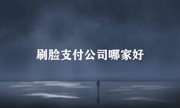 刷脸支付公司哪家好