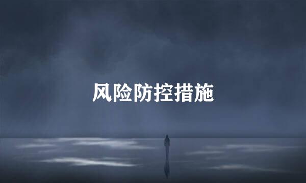风险防控措施