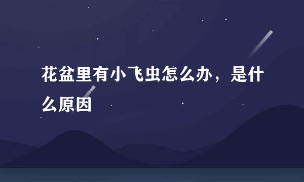 花盆里有小飞虫怎么办，是什么原因