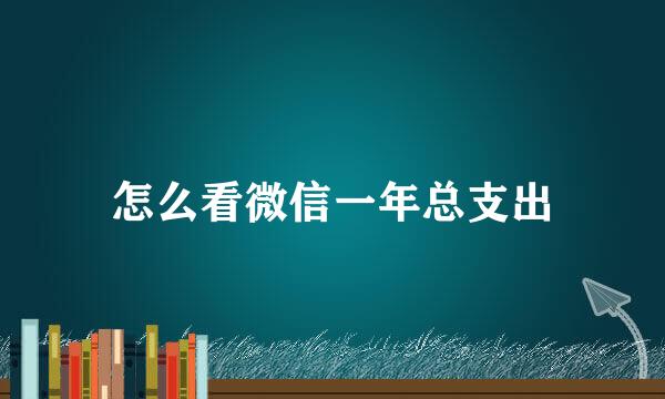 怎么看微信一年总支出