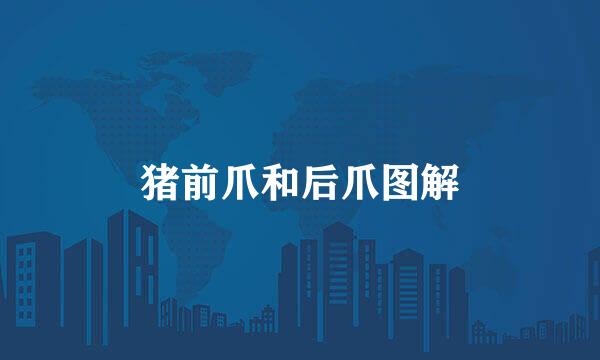 猪前爪和后爪图解