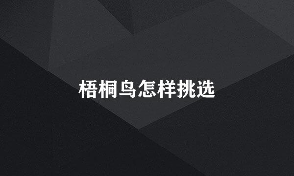 梧桐鸟怎样挑选