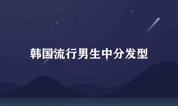 韩国流行男生中分发型
