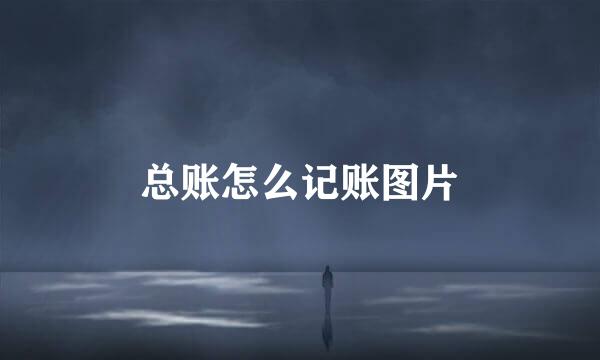 总账怎么记账图片