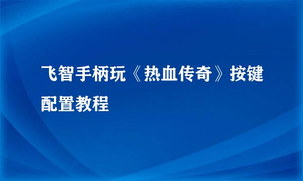 飞智手柄玩《热血传奇》按键配置教程