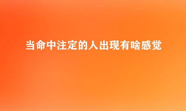 当命中注定的人出现有啥感觉