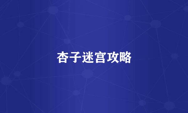 杏子迷宫攻略