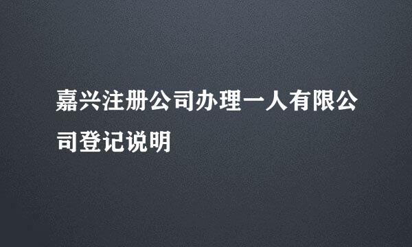 嘉兴注册公司办理一人有限公司登记说明