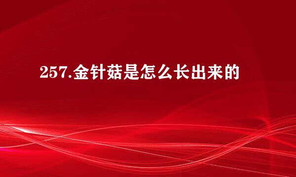 257.金针菇是怎么长出来的