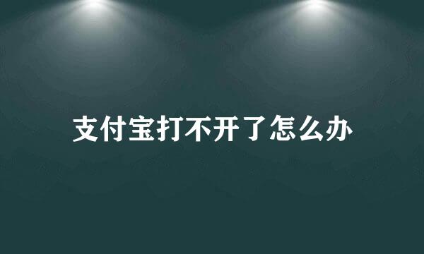 支付宝打不开了怎么办