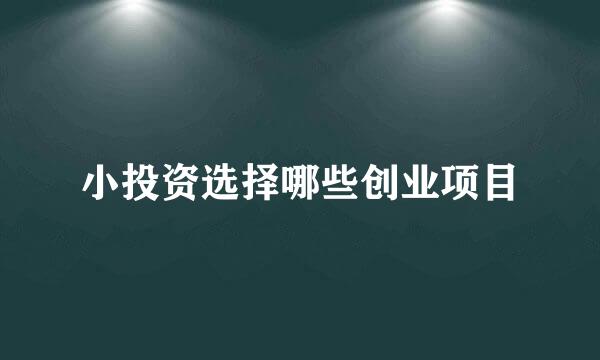 小投资选择哪些创业项目