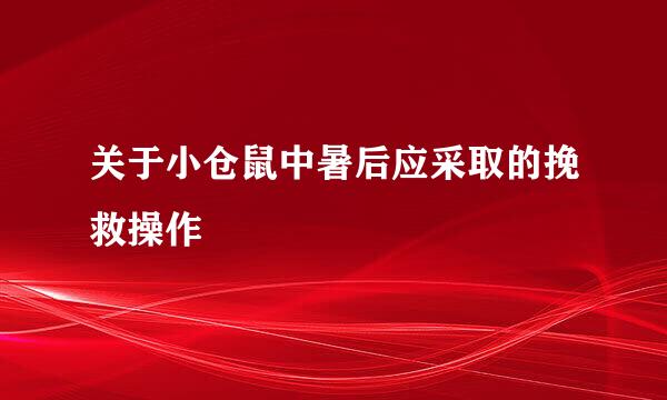 关于小仓鼠中暑后应采取的挽救操作