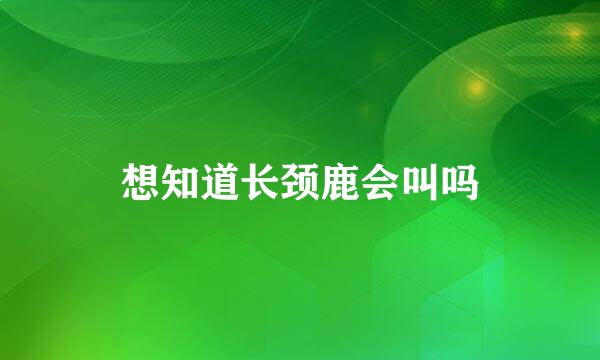 想知道长颈鹿会叫吗
