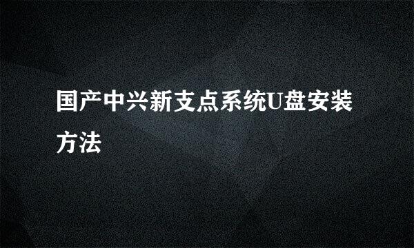 国产中兴新支点系统U盘安装方法
