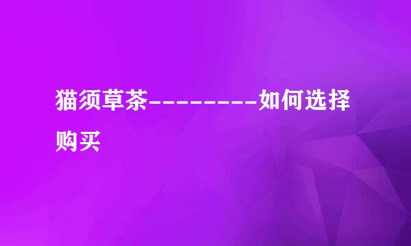 猫须草茶--------如何选择购买