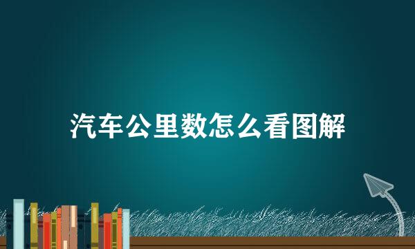 汽车公里数怎么看图解