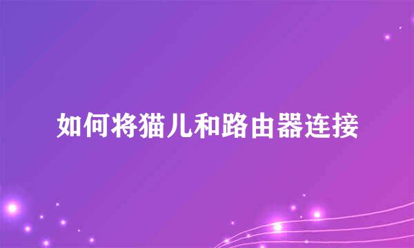 如何将猫儿和路由器连接