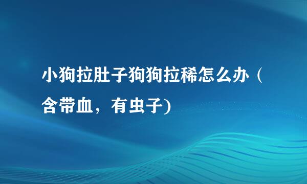 小狗拉肚子狗狗拉稀怎么办（含带血，有虫子)