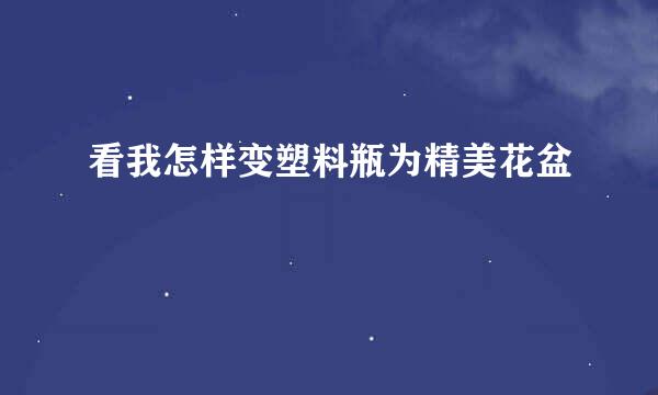 看我怎样变塑料瓶为精美花盆