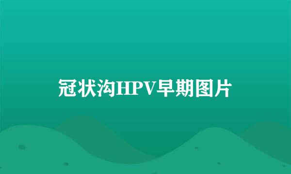 冠状沟HPV早期图片