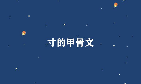寸的甲骨文