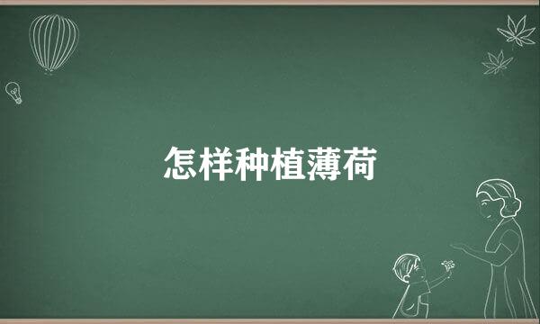 怎样种植薄荷
