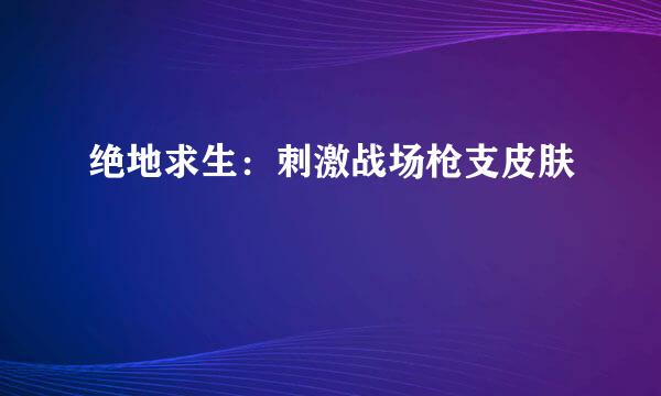 绝地求生：刺激战场枪支皮肤