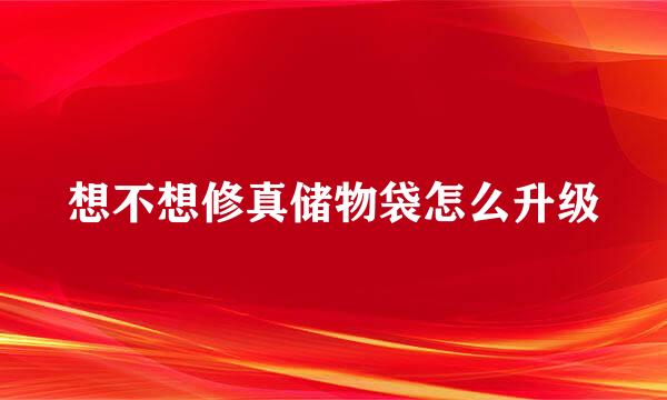 想不想修真储物袋怎么升级