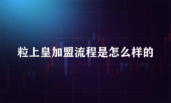 粒上皇加盟流程是怎么样的