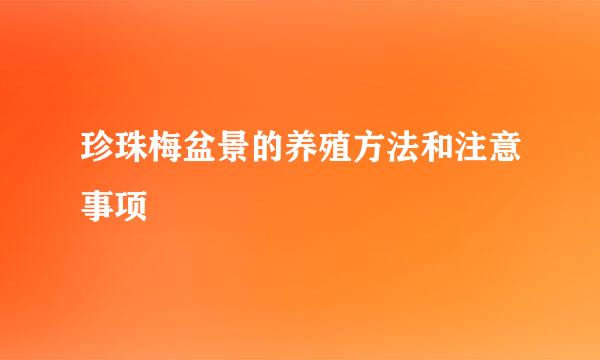 珍珠梅盆景的养殖方法和注意事项