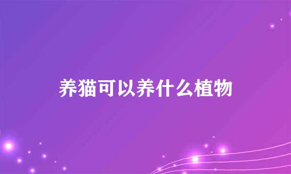 养猫可以养什么植物