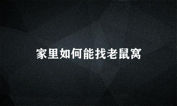 家里如何能找老鼠窝
