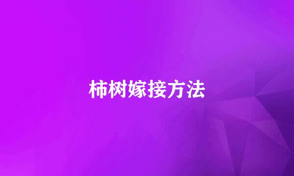 柿树嫁接方法