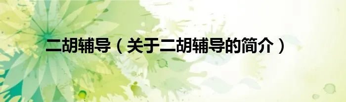 二胡辅导（关于二胡辅导的简介）
