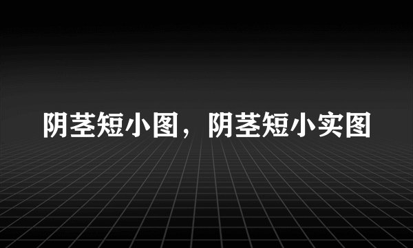 阴茎短小图，阴茎短小实图
