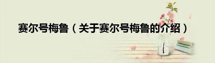 赛尔号梅鲁（关于赛尔号梅鲁的介绍）