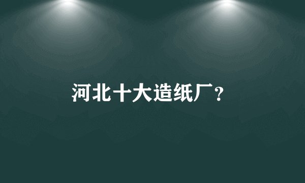 河北十大造纸厂?