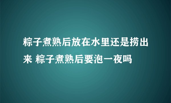 粽子煮熟后放在水里还是捞出来 粽子煮熟后要泡一夜吗