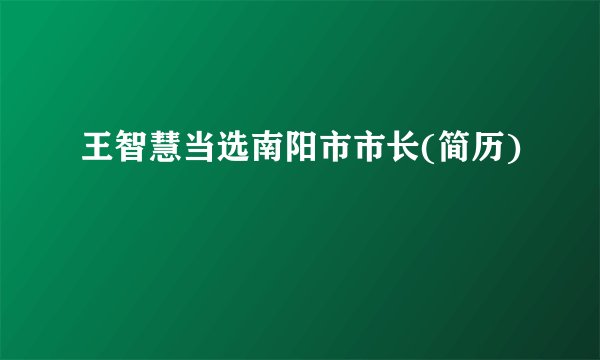 王智慧当选南阳市市长(简历)