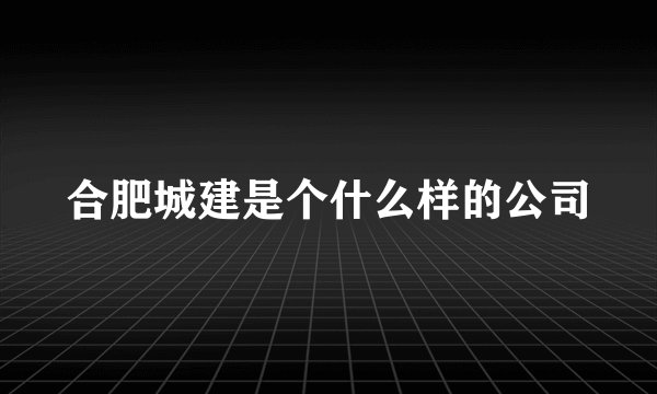 合肥城建是个什么样的公司