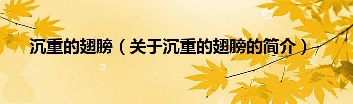沉重的翅膀（关于沉重的翅膀的简介）