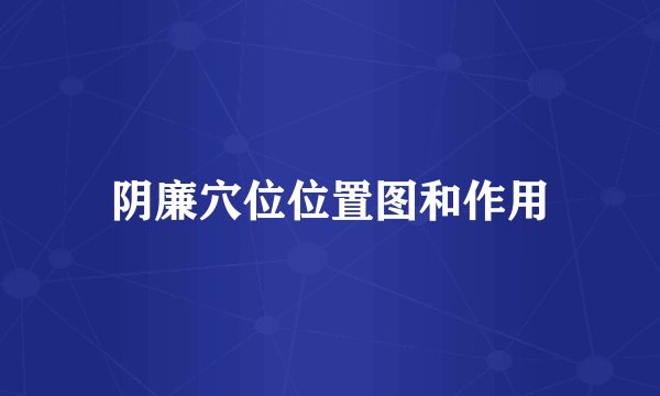 阴廉穴位位置图和作用