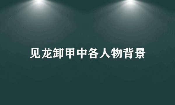 见龙卸甲中各人物背景