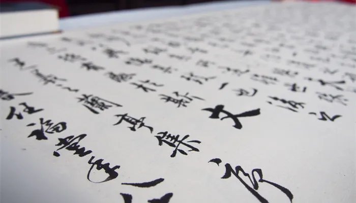 月字旁的字和什么有关 月字旁的有什么字