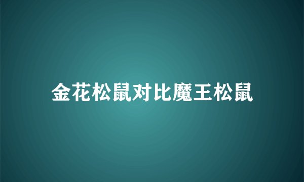 金花松鼠对比魔王松鼠